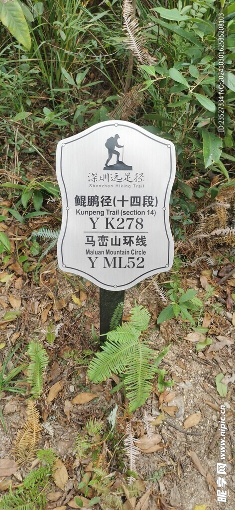 马峦山环线 远足径Y ML52