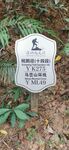马峦山环线 远足径Y ML49
