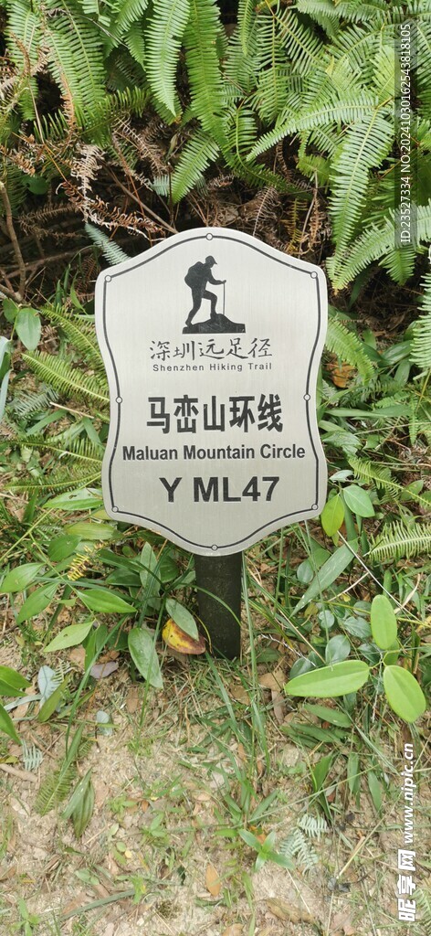 马峦山环线 远足径Y ML47