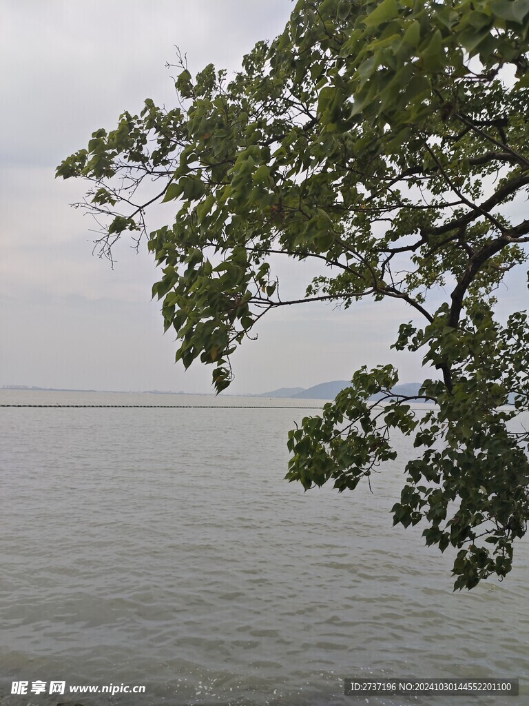 宜兴风景