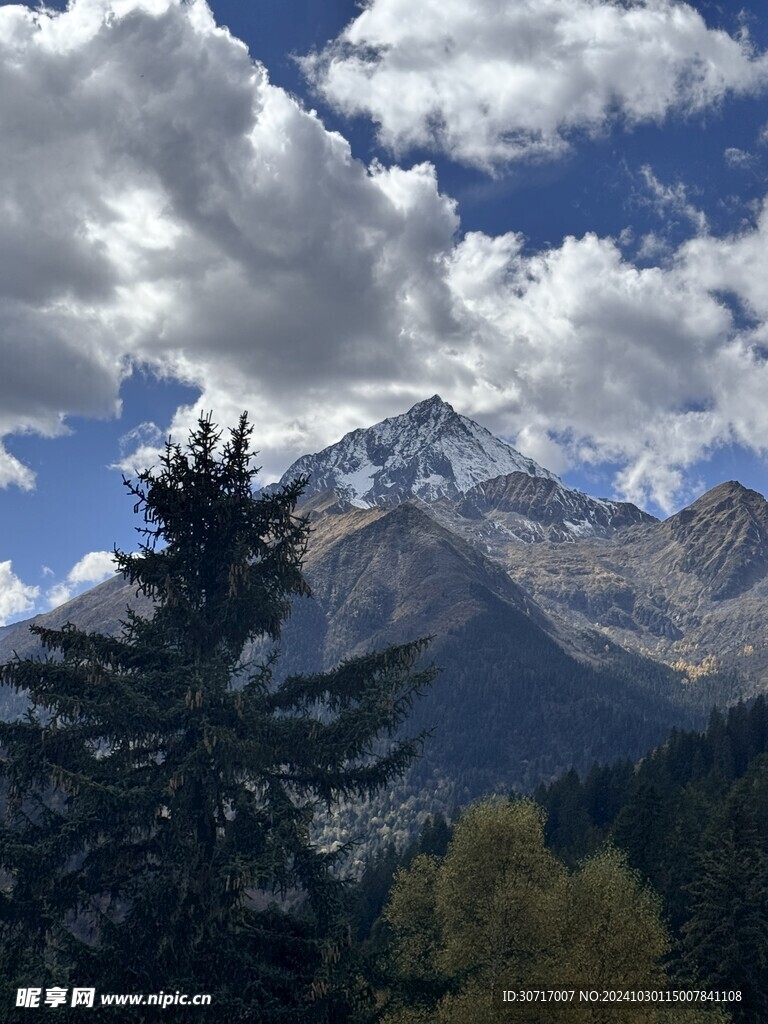 阳光下的雪山