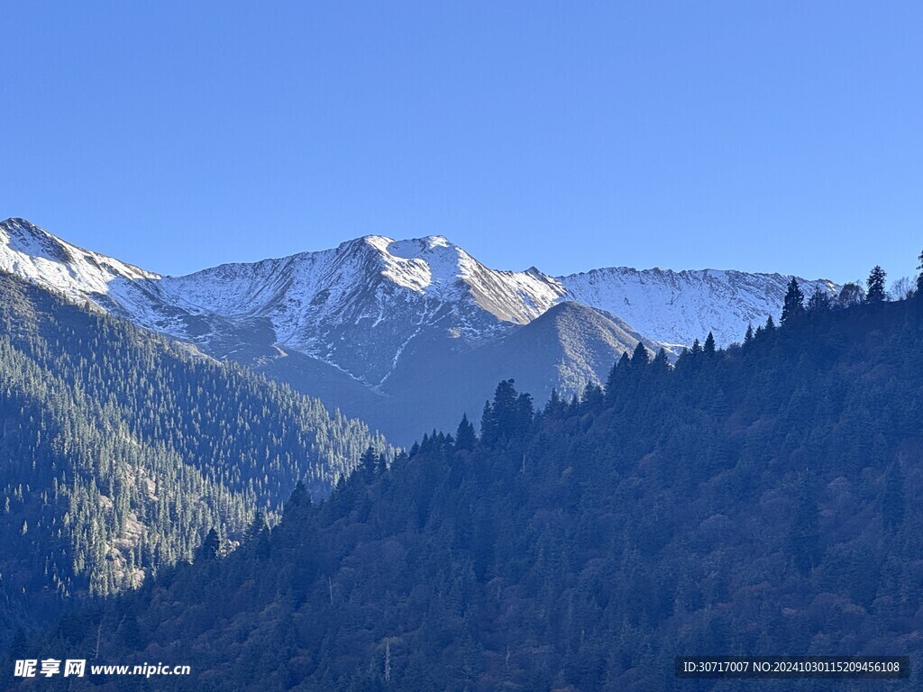 山景