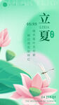 立夏