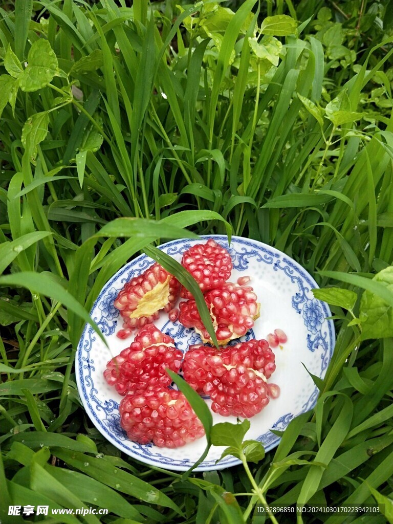 石榴