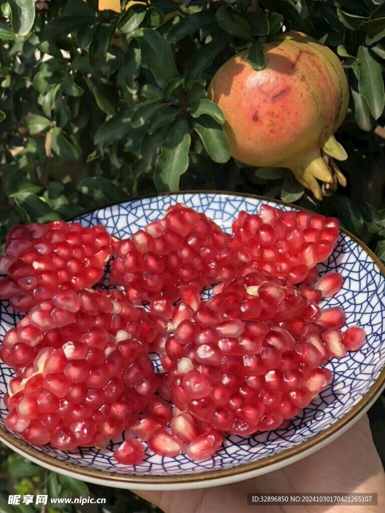 石榴