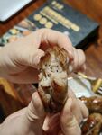 烤香肠