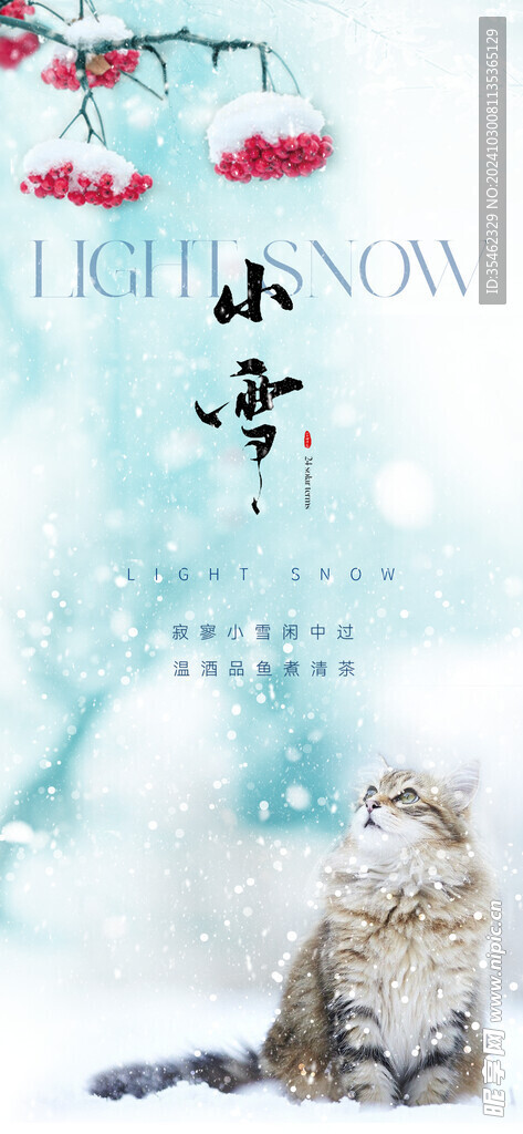 小雪海报 