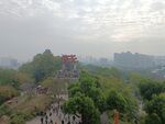公园景观