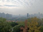 公园景观