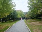 公园景观