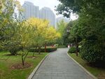 公园景观