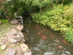 公园景观