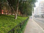 绿化景观