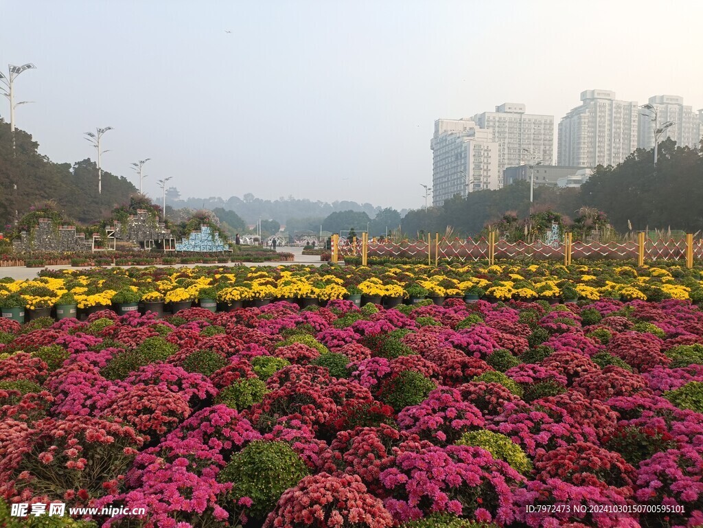 绿化景观