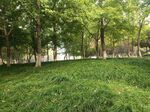绿化景观