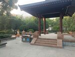 园林景观