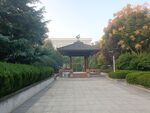 园林景观