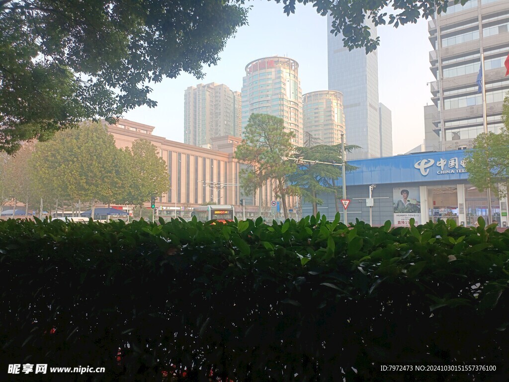 园林景观