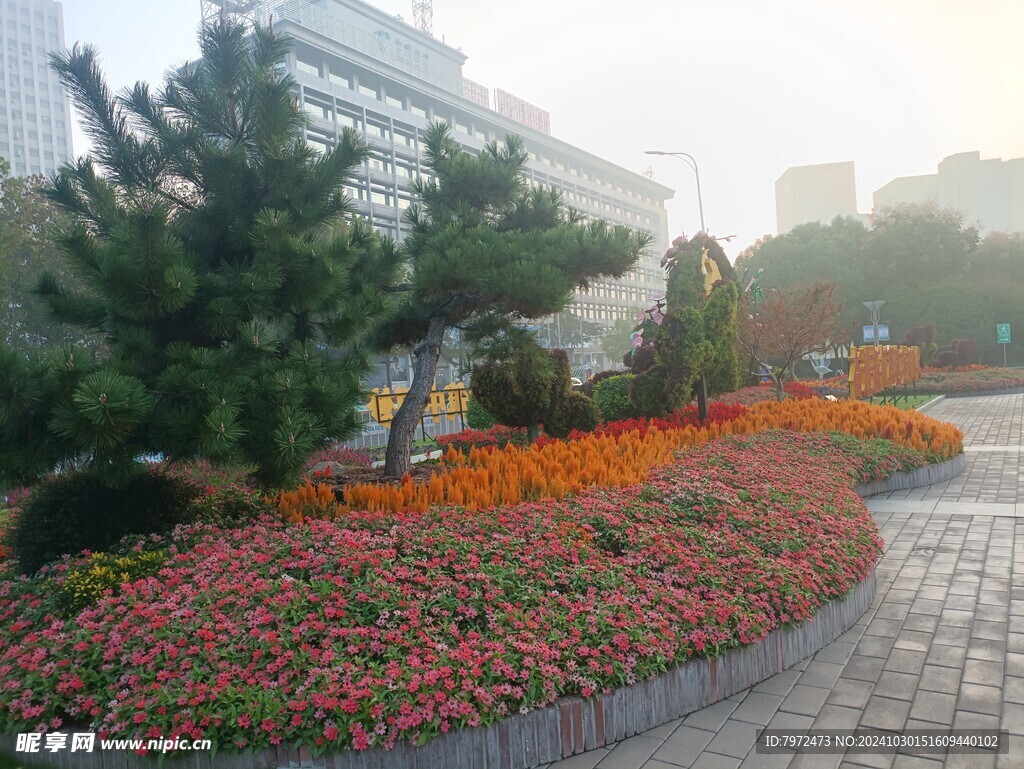 园林景观