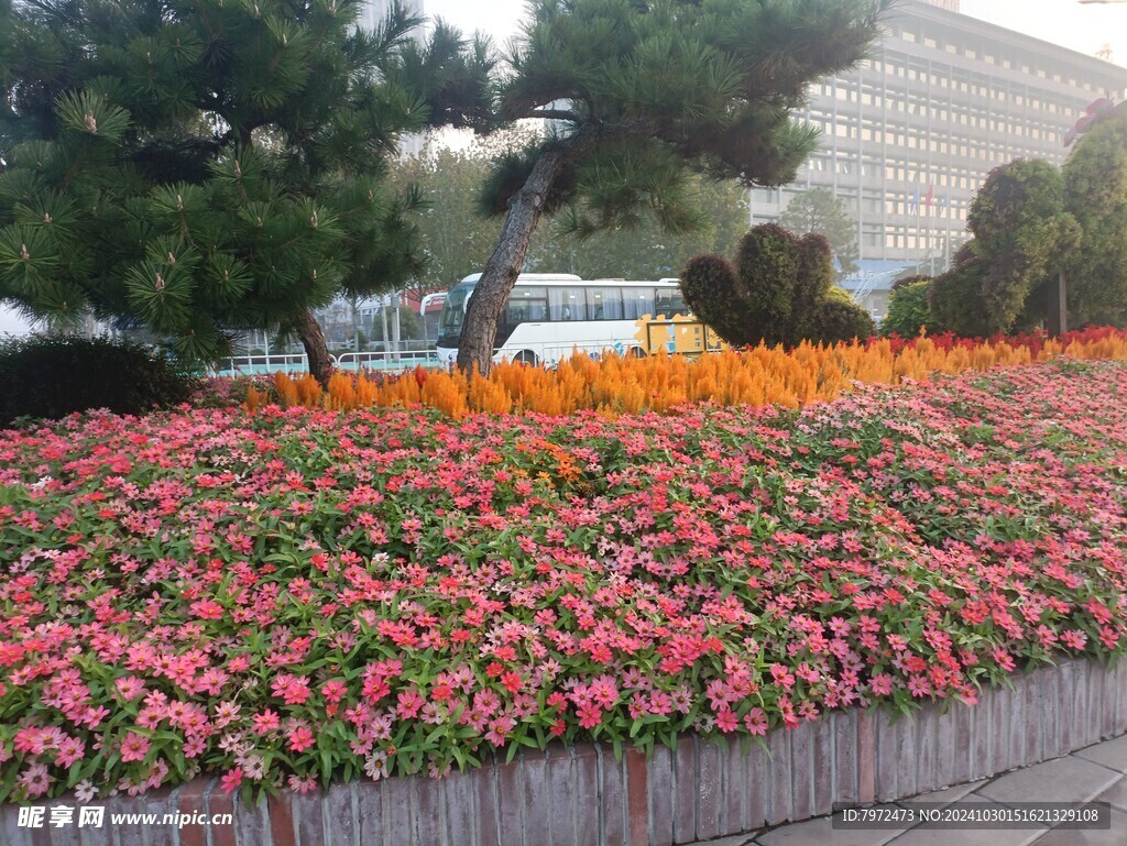 园林景观
