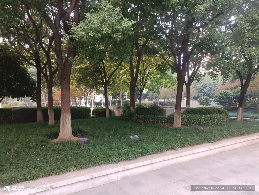 园林景观