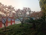 园林景观