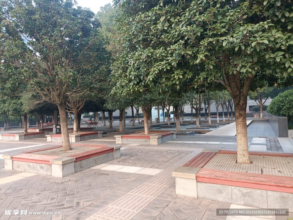 园林景观