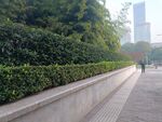 园林景观