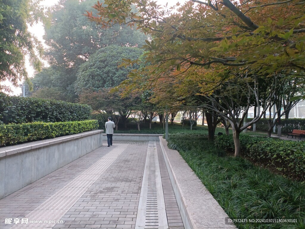 园林景观