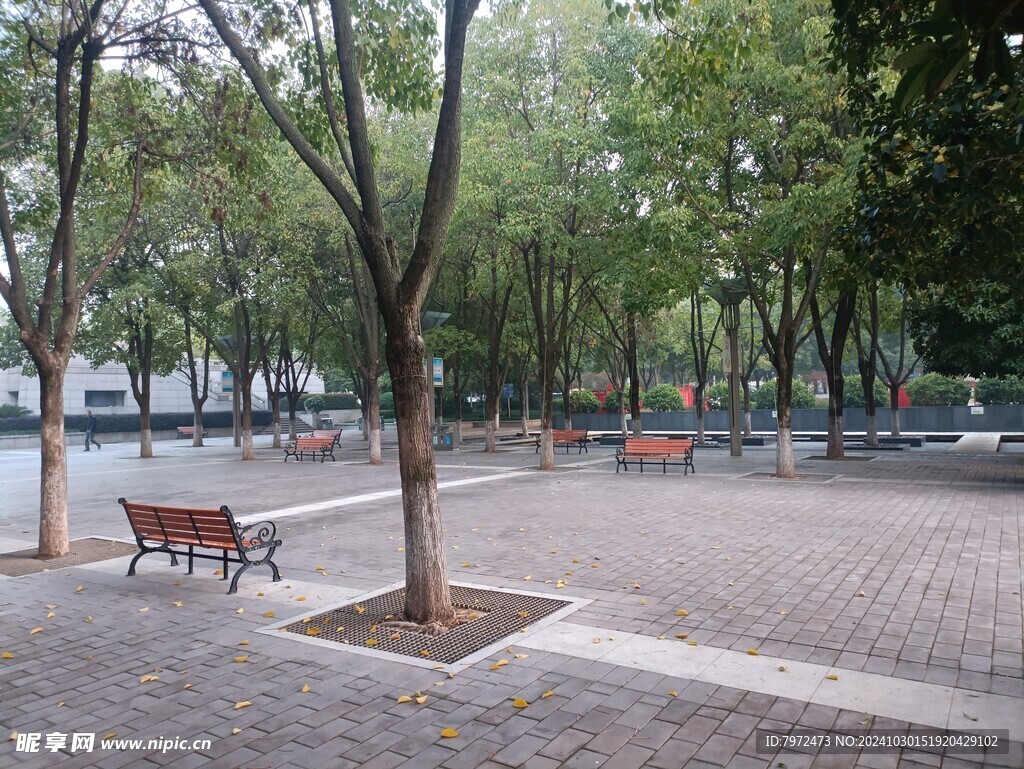 园林景观