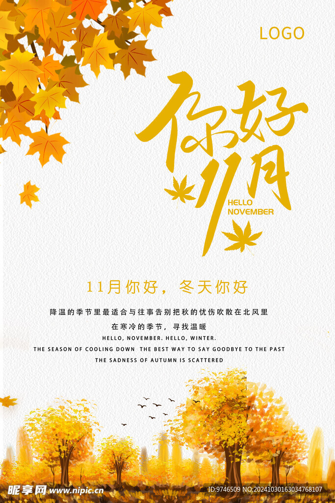 11月你好