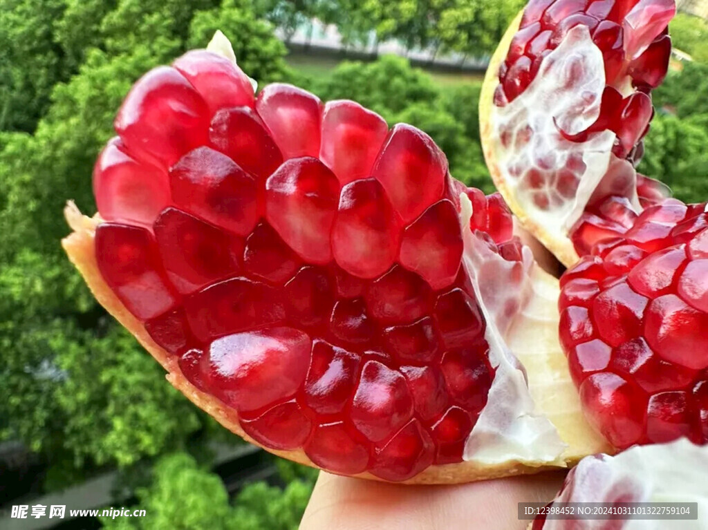 石榴