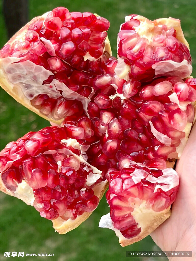 石榴