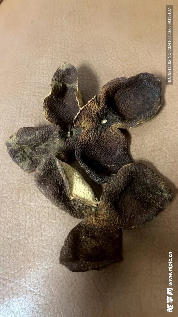 陈皮