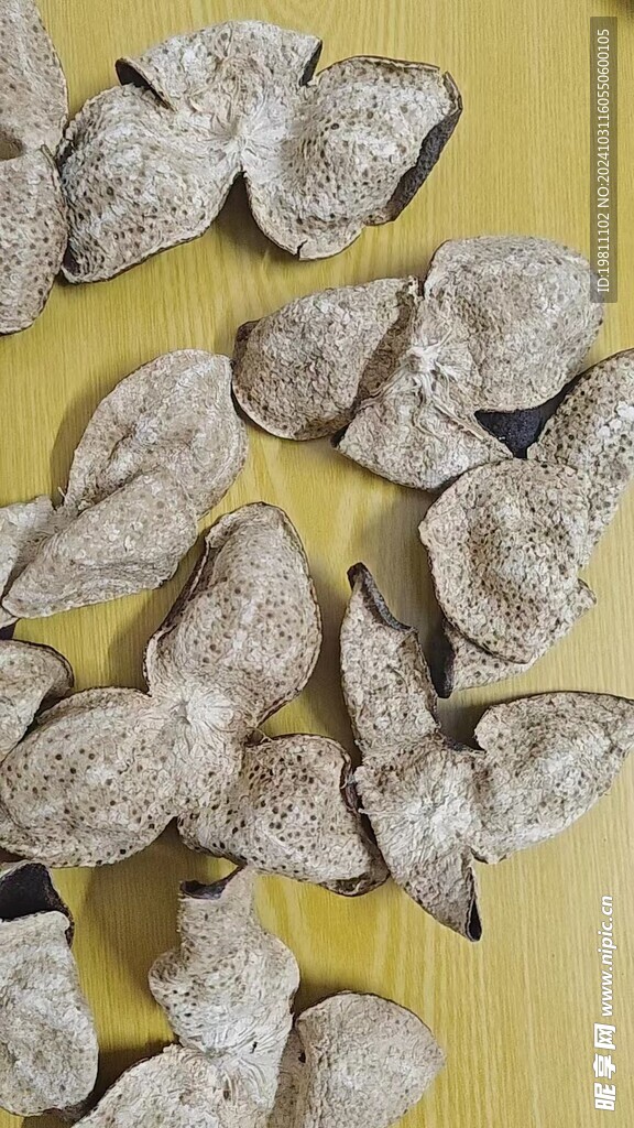 陈皮