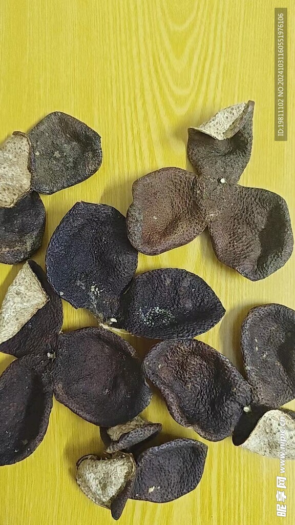 陈皮