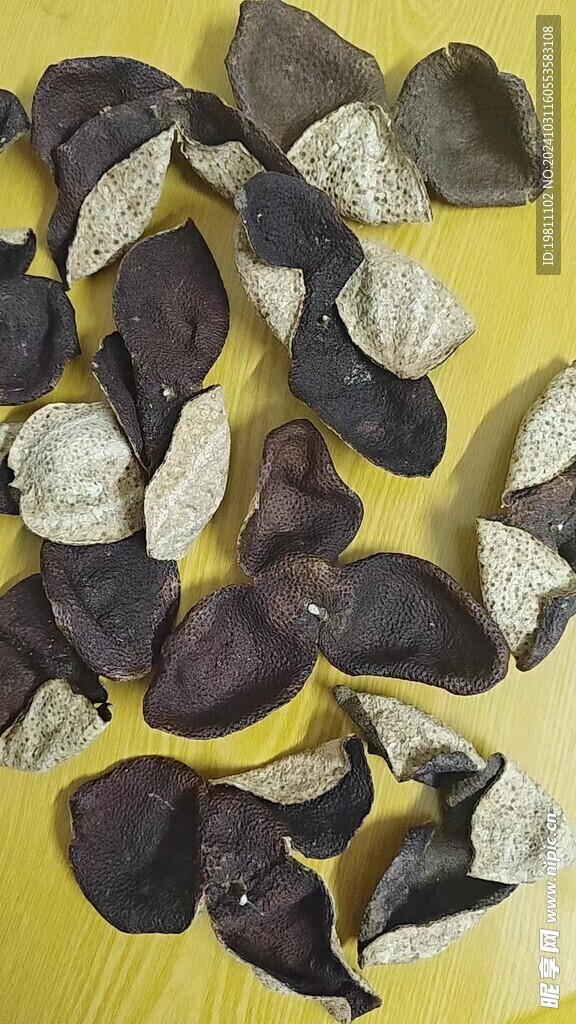 陈皮