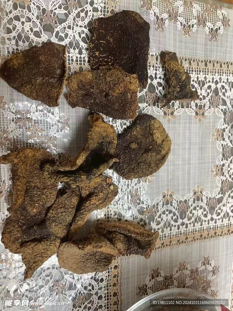 老陈皮