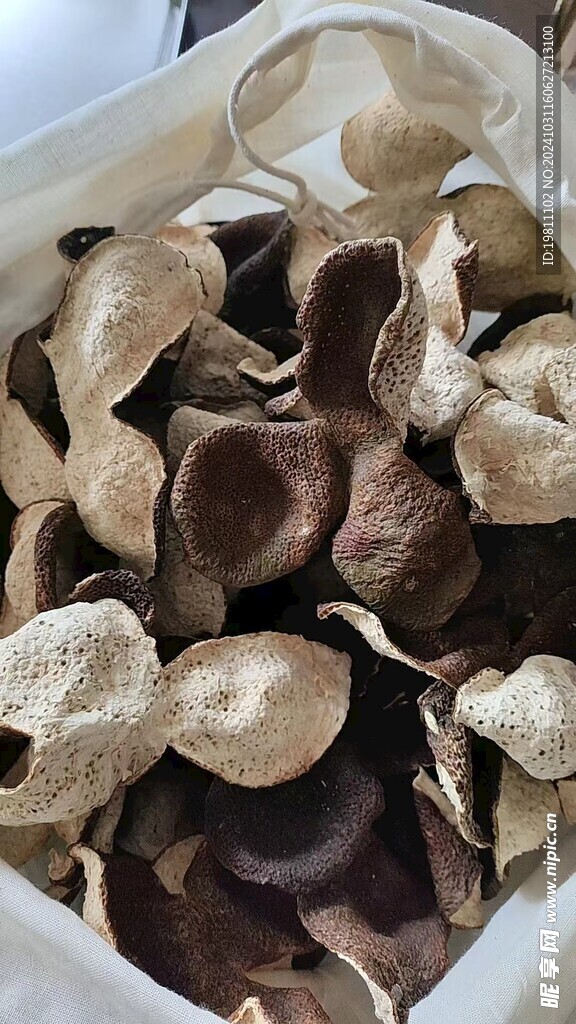 陈皮