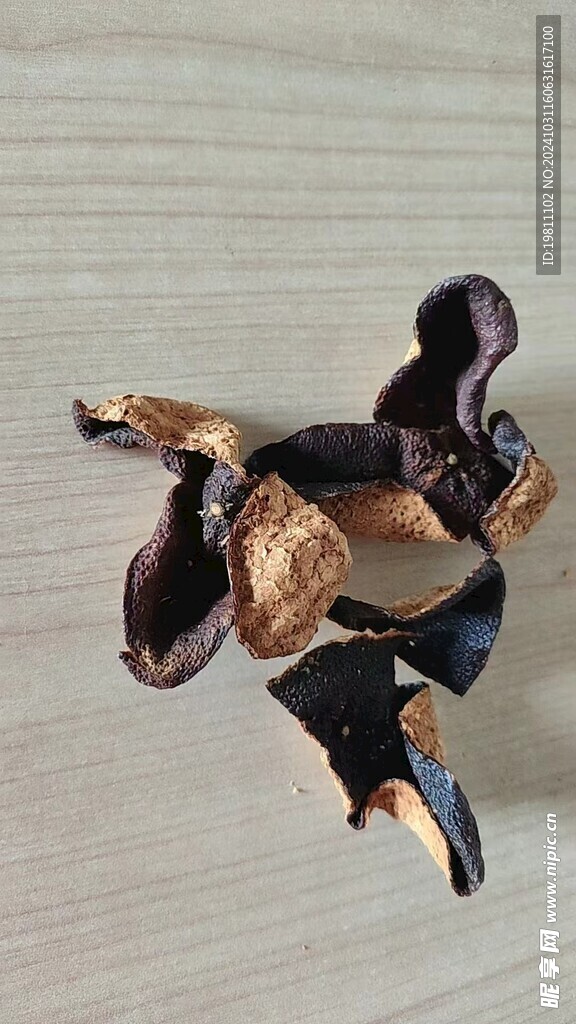 陈皮