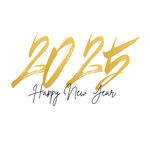 2025年图标