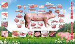 猪肉店喷绘