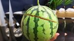 大西瓜