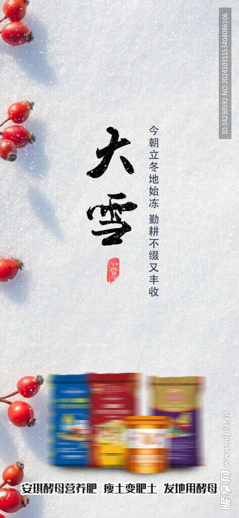 大雪海报