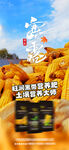 寒露海报