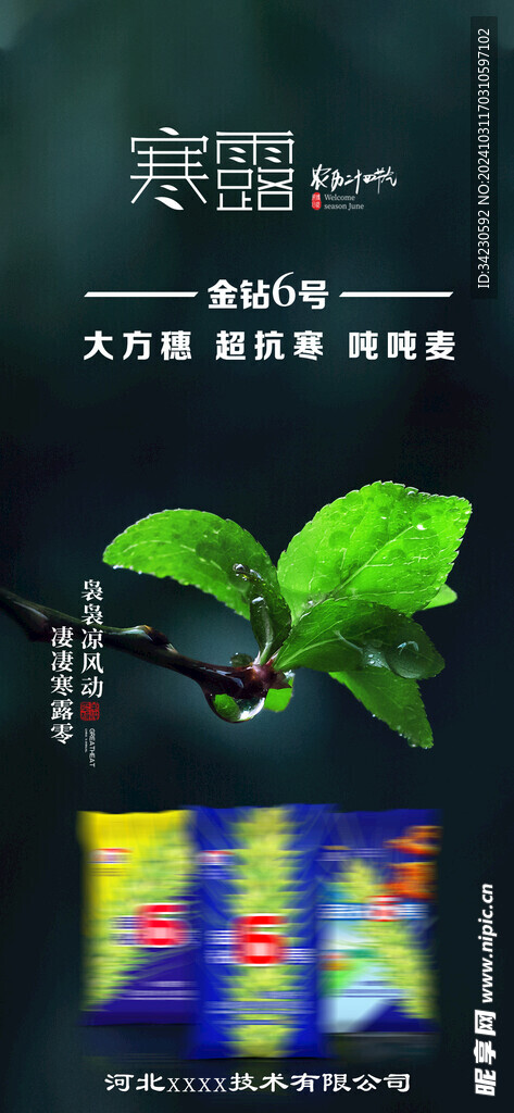 寒露
