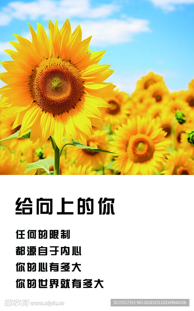 积极向上