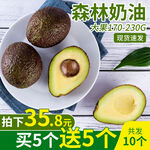 牛油果主图