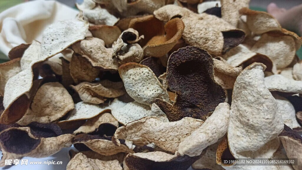陈皮