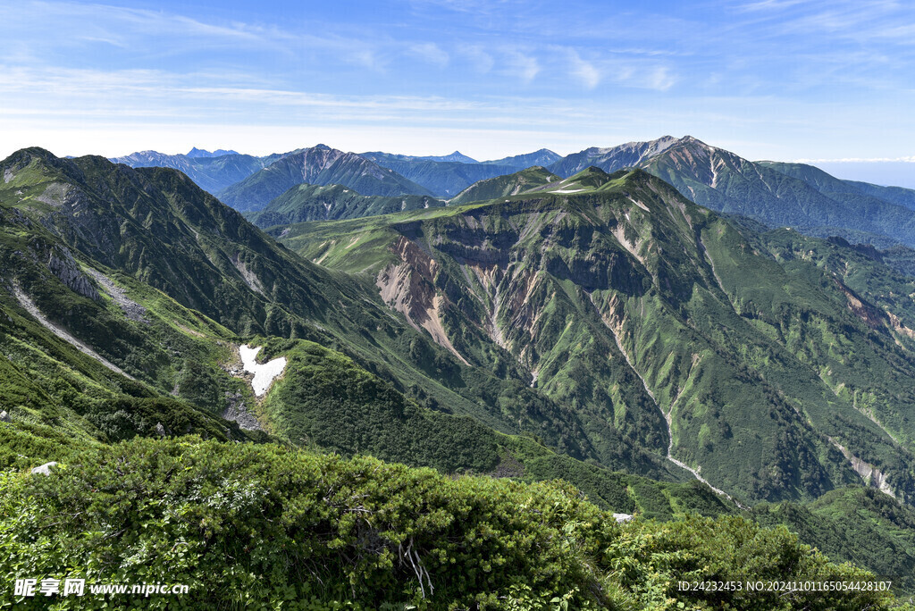 山